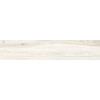 Керамогранит Rondine Drng Ivory матовая 120x24