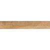 Керамогранит Rondine Crtn Cognac матовая 45x7