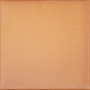 Плитка Canada Gres Natura 016 Terra 244x244/14