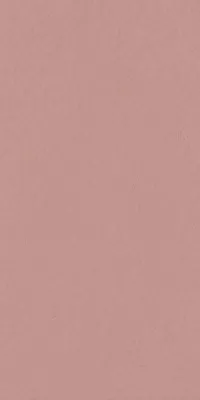 Плитка Serenissima Cir керамогранит 120x60 Chromagic Forever Pink Ret матовая