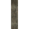 Керамогранит 120x30 10мм Fossil Lines Gold Piombo глянцевая Serenissima Cir