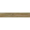 Керамогранит Alessandria Camel 120x20 матовая коричневый Prissmacer Керамогранит Alessandria Camel 120x20 матовая коричневый Prissmacer