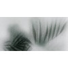 Керамогранит 120x60 6мм Керамо Art Walls Beyond Lux полированная Flaviker