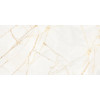 Керамогранит 120x60 8мм Керамо Supreme Hedonism Gold Spid Lu3 R глянцевая Flaviker
