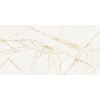 Керамогранит 120x60 8мм Керамо Supreme Hedonism Gold Spid Nat R матовая Flaviker