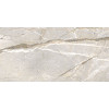 Керамогранит 120x60 8мм Керамо Supreme Hedonism Sliv Roots Nat R матовая Flaviker