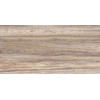 Плитка настенная Alma Ceramica 50x25 TWU09DBL404 Dublin Глянцевая