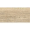 Плитка керамогранит 60x30 GFA3060BWD24R Брентвуд / Brentwood Матовая Alma Ceramica