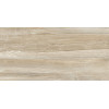 Плитка настенная 50x25 TWU09WDX404 Бильбао / Bilbao Глянцевая Alma Ceramica