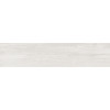 Плитка керамогранит 90x20 GFA2090TNZ07R Танзания / Tanzania Матовая Alma Ceramica