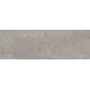 Плитка настенная Alma Ceramica 60x20 TWA11GRS707 Poli Матовая