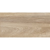 Плитка настенная Alma Ceramica 50x25 TWU2550EPH40 Euphoria Глянцевая