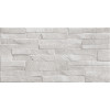Плитка настенная Alma Ceramica 50x25 TWU2550DCV14 Discover Глянцевая Плитка настенная Alma Ceramica 50x25 TWU2550DCV14 Discover Глянцевая