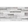 Плитка настенная Alma Ceramica 50x25 TWU2550DCV17 Discover Глянцевая