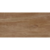 Плитка настенная Alma Ceramica 50x25 TWU2550BOH40 Euphoria Глянцевая