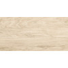 Плитка керамогранит Alma Ceramica 60x30 GFA3060BWD04R Brentwood Матовая