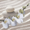 Плитка панно Alma Ceramica 50x50 PWU09RLX1 Relax Глянцевая