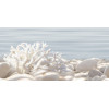 Плитка декор Alma Ceramica 50x25 DWU09DLM624 Del mare Глянцевая