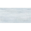 Плитка настенная Alma Ceramica 50x25 TWU09PSR006 Venezia Матовая