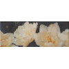 Плитка STGA39315050 Декор Ноттингем Тюльпан 40x15 8.0мм Kerama Marazzi