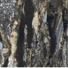 Керамогранит 120x120 6мм Керамо Bijoux Quatre Saisons Glo 6Mm R полированная Rex