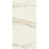 Керамогранит 240x120 6мм Керамо Cal Gold Chain B 6Mm Glossy полированная Rex