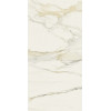 Керамогранит 240x120 6мм Керамо Cal Gold Chain F 6Mm Matte Ret матовая Rex