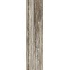 Керамогранит 240x60 6мм Керамо Etoile Tropical Glo 6Mm Ret полированная Rex