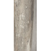 Керамогранит 120x60 9мм Керамо Etoile Tropical Glossy Ret полированная Rex