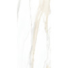 Керамогранит 240x120 6мм Керамо I Classici Cal Gold 6Mm Glossy полированная Rex