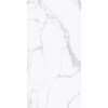 Керамогранит 120x60 10мм Керамо I Classici Statuario Glossy Ret полированная Rex