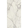 Керамогранит 120x60 9мм Керамо Prexious Rex Mountaintreasure Mat матовая Rex