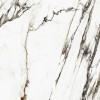 Керамогранит Porcelanosa Paonazzo Biondo Silk Pv6 A 120x120