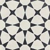 Керамогранит 22.3x22.3 Harmony 37243 CUBAN WHITE STAR
