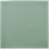 Плитка 13x13 10мм Fayenza Square Fern глянцевая Wow