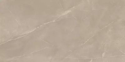 Плитка Mariner напольная 120x60 PULPIS SILVER RETT матовая серый, светло-серый