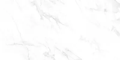 Плитка Italica напольная 120x60 SMOKE WHITE POLISHED полированная белый