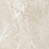 Плитка керамогранит 60x60 Вайлд ГолдWild Gold D60262M Вайлд / Wild Матовая Delacora