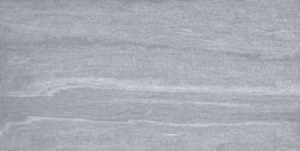 Плитка Argenta универсальная керамогранит 120x60 Pav. North grey rc матовая серый