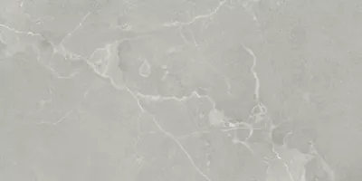 Плитка Azteca универсальная керамогранит 120x60 Pav. Dubai grey матовая серый