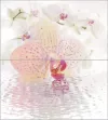 Плитка настенная Ceradim 50x45 панно Dec Panno панно из 2-х шт КПН16 Orchid глянцевая глазурованная