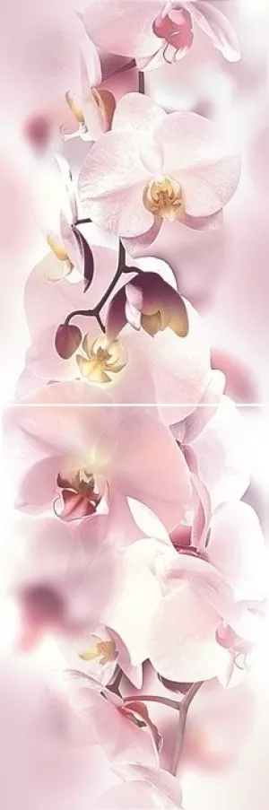 Плитка настенная Дельта Керамика 60x20 панно P2D135 из 2-х пл Orchid неполированная глянцевая глазурованная