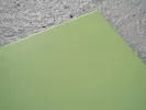 Напольная плитка Gres Armony Verde 31,6x31,6 - Emigres