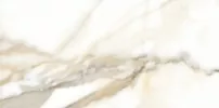 Плитка Fanal напольная керамогранит 120x60 Dec.Calacatta B NPlus глянцевая белый
