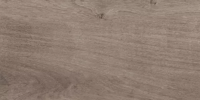 Плитка настенная Laparet 40x20 коричневый 08-01-15-2685 Plant матовая глазурованная