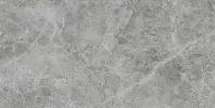 Наcтенная/напольная плитка (керамогр) At. Stone grey 60x120 - Pamesa
